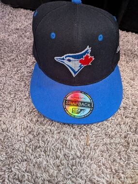 Blue and Black Snapback Hat with Embroidered Logo